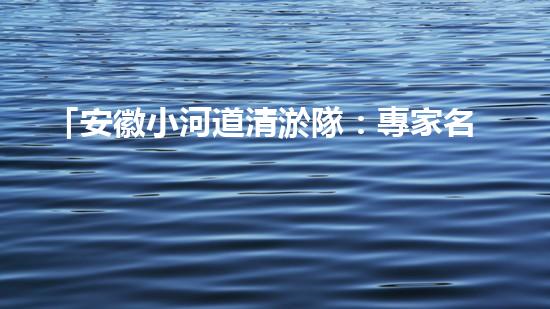 「安徽小河道清淤隊：專家名單及技術(shù)高超的突出表現(xiàn)！」